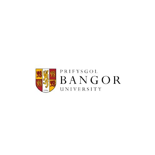 5-removebg-preview